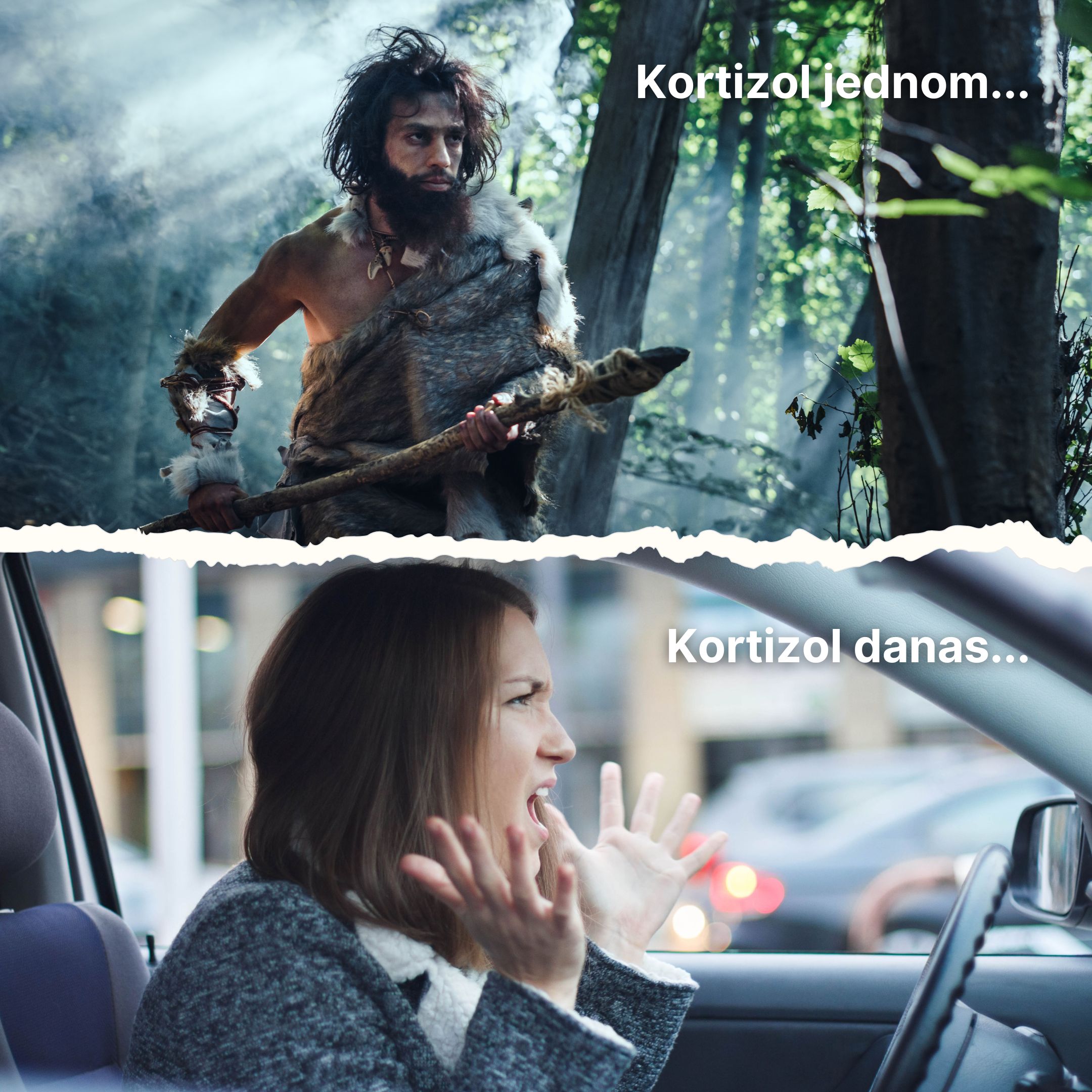 (Chorvatština) - 2024-11-02T131606.234